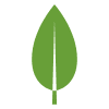 MongoDB NoSQL database logo